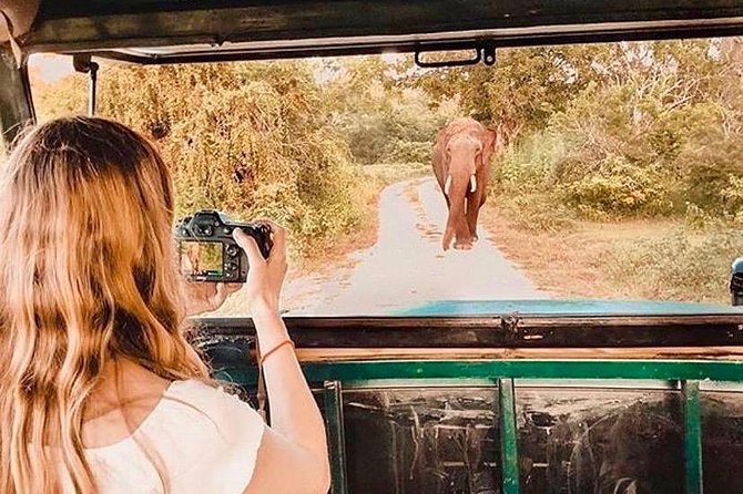 08 - Day Classic Tour with English speaking drive and Private luxury vehicles - Colombo to Sigiriya: an easy airport start