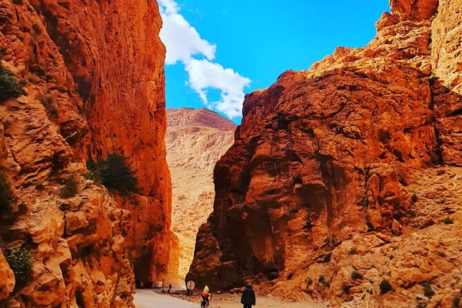 10 Days From Casablanca Luxury Tour - Day 7: Skoura, Kasbah Amridil, and Ouarzazate