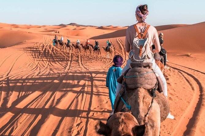 10Day Luxury From Casablanca to marrakech by Fes and Merzouga - Four focused hours inside Fez