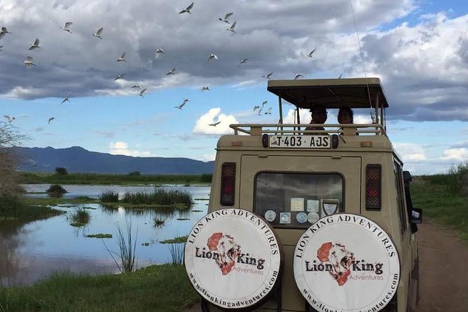 12 days Luxury Tanzania Honeymoon Safari and Zanzibar - Day 2: Elephants and open country in Tarangire