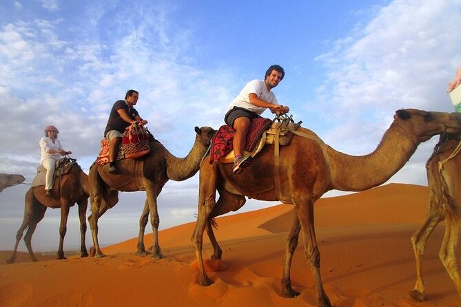 12 Days Private Luxury Sightseeing Tour in Morocco - Day 1: Casablanca, Hassan II Mosque, and a cinematic dinner