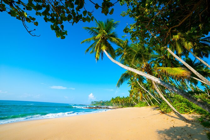 14 Days Tour in Sri Lanka - Fortnight Expedition with Luxury Hotels - Negombo fishing boats and the first night