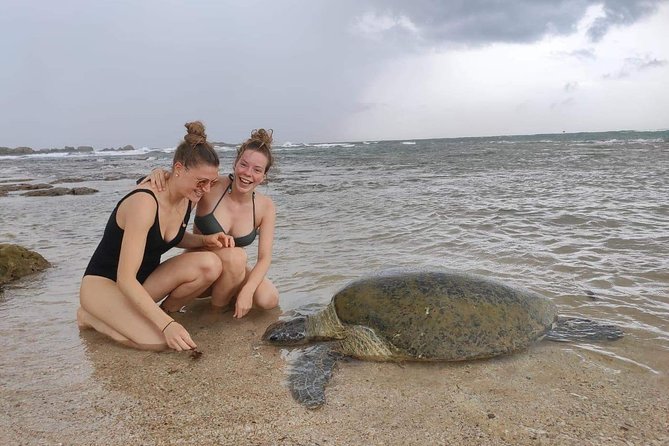 14 Days Tour in Sri Lanka (Hotels with Breakfast & Luxury Car) - Days 7 and 8: Ella’s bridges, waterfalls, and short hikes