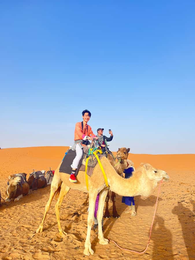 2-Day Desert tour from Fes to Fes/Marrakech wit Luxury Camp - From Fes to the Middle Atlas