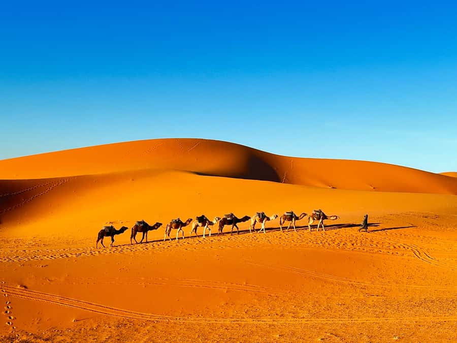 2-Day Desert tour from Fes to Fes/Marrakech wit Luxury Camp - Who should choose this desert trip?
