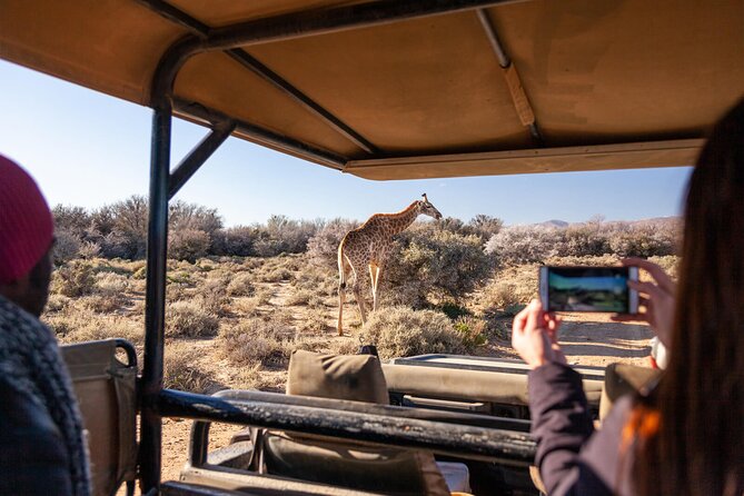 2 Day Inverdoorn Luxury Safari - Arriving at Inverdoorn around lunch
