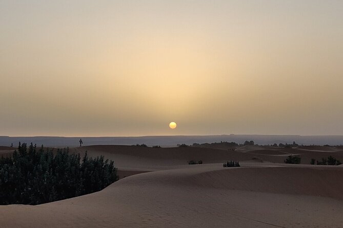 2 Day Luxury Desert Tour from Fes to Fes or Marrakech - Camel riding into the Erg Chebbi dunes