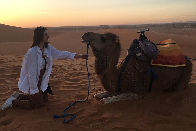 2 Day Luxury Desert Tour from Fes to Fes or Marrakech - Is $127.76 a good value?