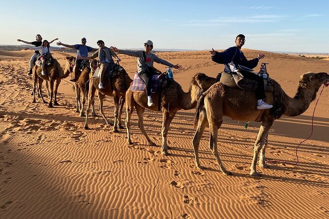 2 Day Luxury Desert Tour from Fes to Fes or Marrakech - Erfoud, fossils, and the Ziz Valley