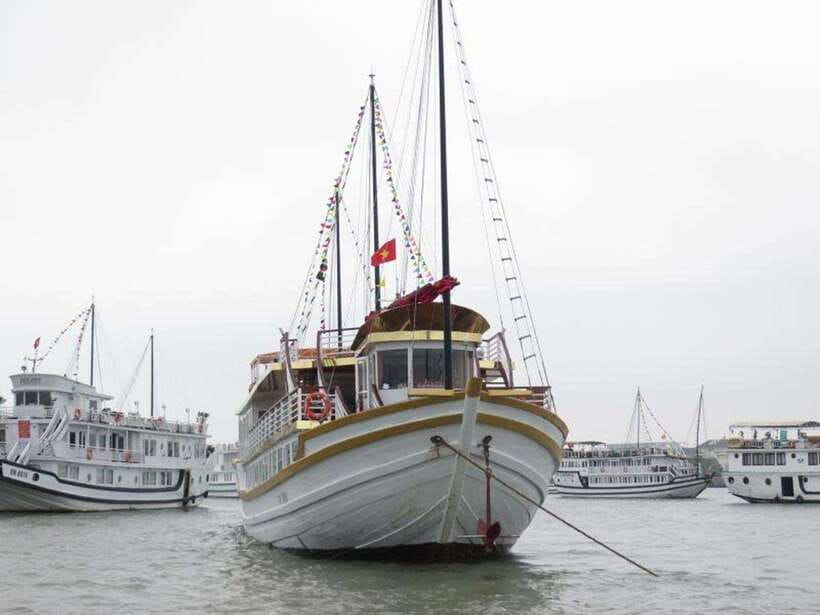 2-Day Peaceful in Bai Tu Long Bay with Luxury Cruise - Who will enjoy this two-day cruise