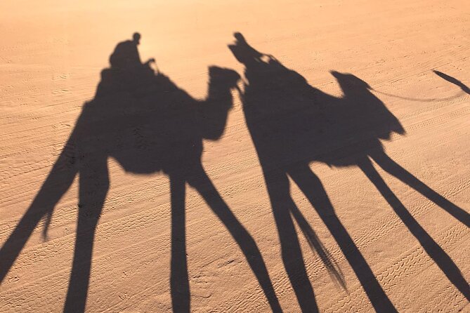 2-Days Desert Tours from Fes with Overnight in Luxury Camp - Reaching Merzouga and riding into Erg Chebbi