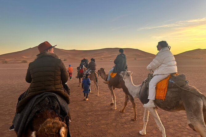 2-Days Desert Tours from Fes with Overnight in Luxury Camp - Day one: from Fes to the cedar forest near Azrou
