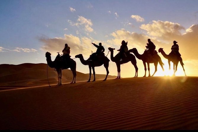 2 Days luxury desert tour from Fes - Leaving Fez for Ifrane and Azrou