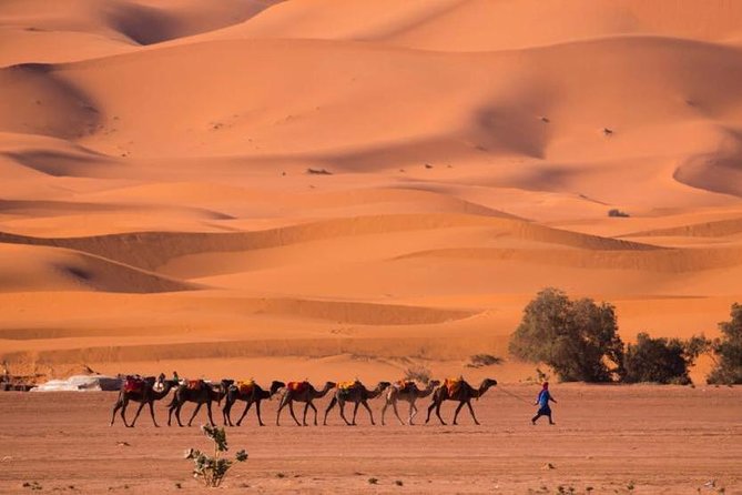 2 Days luxury desert tour from Fes - Midelt gives you a practical lunch stop