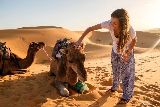 2 days luxury desert trip [fes to fes or marakech] - Reaching the Sahara from Fez in one long day
