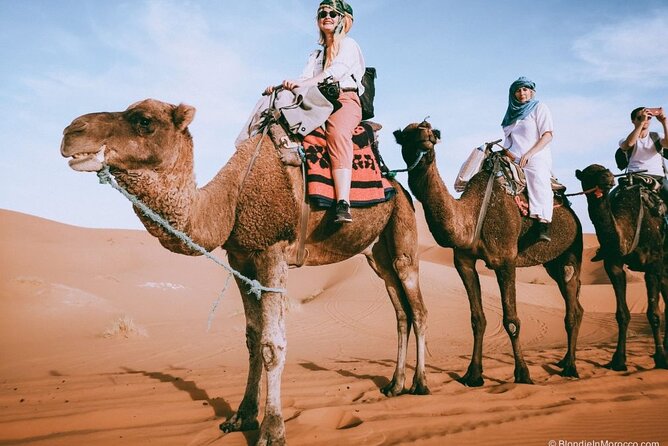 2 days luxury desert trip [fes to fes or marakech] - Ifrane, Morocco’s alpine-looking mountain town