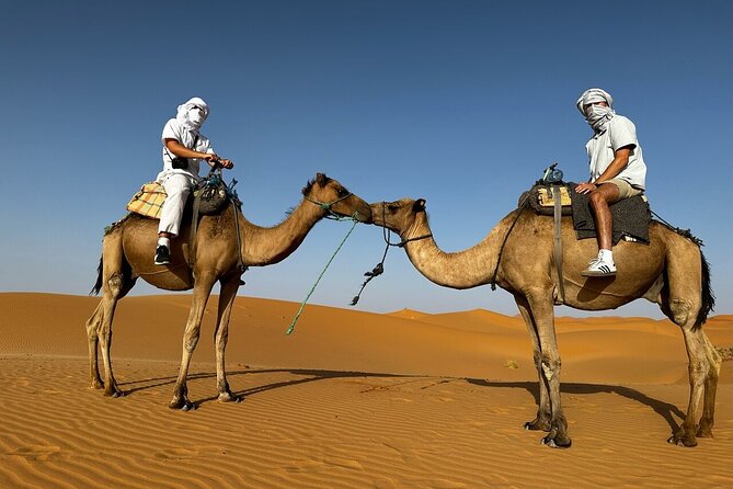 2 Days Luxury Magic Morocco Desert Tour From Fes To Fes - Why this two-day desert run works