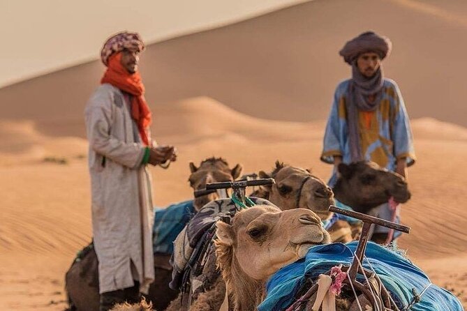 2 Days Luxury Tour to Merzouga Desert from Fez with Small Group - Why this two-day route works, and where it strains