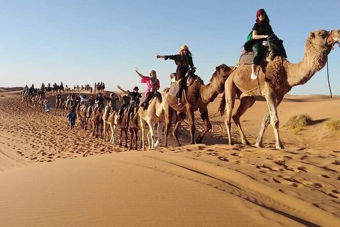 2 Days Luxury Tour to Merzouga Desert from Fez with Small Group - A private tent, dinner, Berber music, and stars