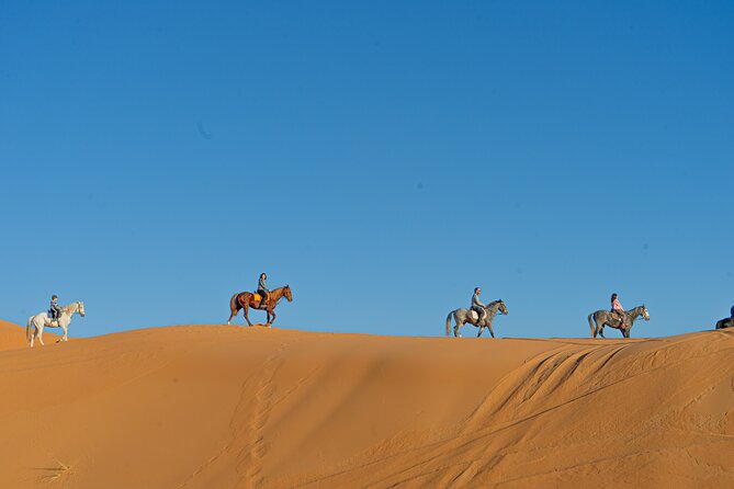 2 days Sahara tour with overnight in luxury desert camp - The Ziz Valley and Erfoud fossils