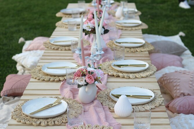 2-Hour Luxury Picnic in Cluj-Napoca Romania - The arrival and prepared setting