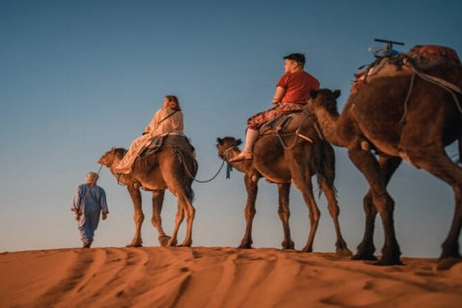 2 Nights in Luxury Camp and Camel Trekking in Merzouga Desert - What the $168.66 price includes