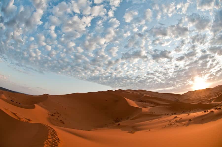 2Days Desert Tour From Fez: Round-Trip with Luxury Camp stay - Who should book this two-day desert trip?