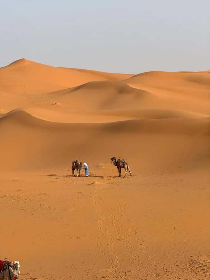 3-Day luxury Adventure: Marrakech to Merzouga incl.Quad/show - Key points at a glance