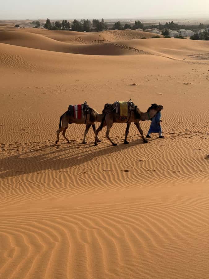 3-Day luxury Adventure: Marrakech to Merzouga incl.Quad/show - Day Three: Quad Bikes and the Long Road Back