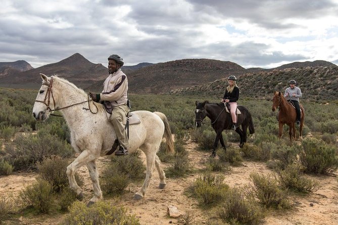 3 Day Luxury Aquila Private Game Reserve - A Cape Town safari without another flight