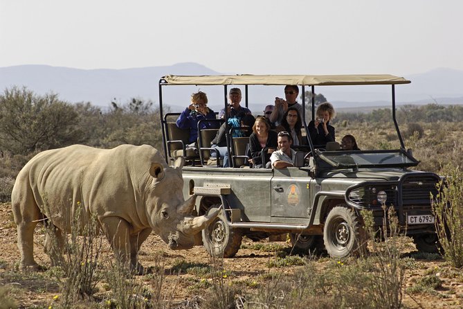 3 Day Luxury Aquila Private Game Reserve - What the four game drives mean