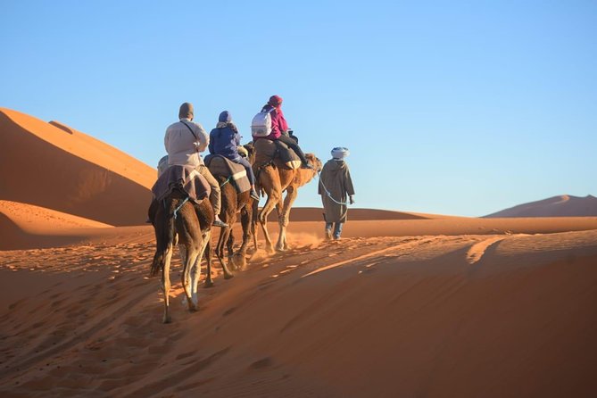 3-Day Luxury/Budget Desert Tour to Marrakech via Merouga from Fez - Day one: Ifrane, Azrou, and the road to Merzouga