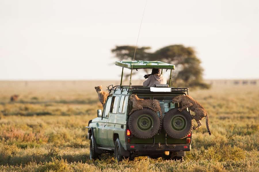3-Day Maasai Mara Joining Safari at Enkorok Luxury Camp - Nairobi to Maasai Mara, with a Rift Valley stop