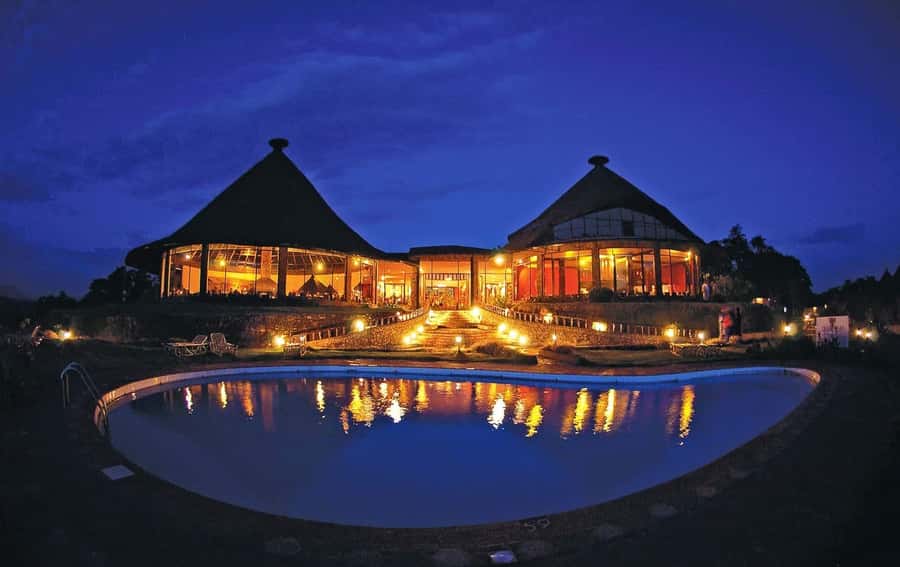 3-Day Maasai Mara Joining Safari at Enkorok Luxury Camp - The first afternoon among elephants and big cats
