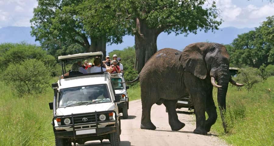 3-Day Maasai Mara Joining Safari at Enkorok Luxury Camp - What the $995 price really covers
