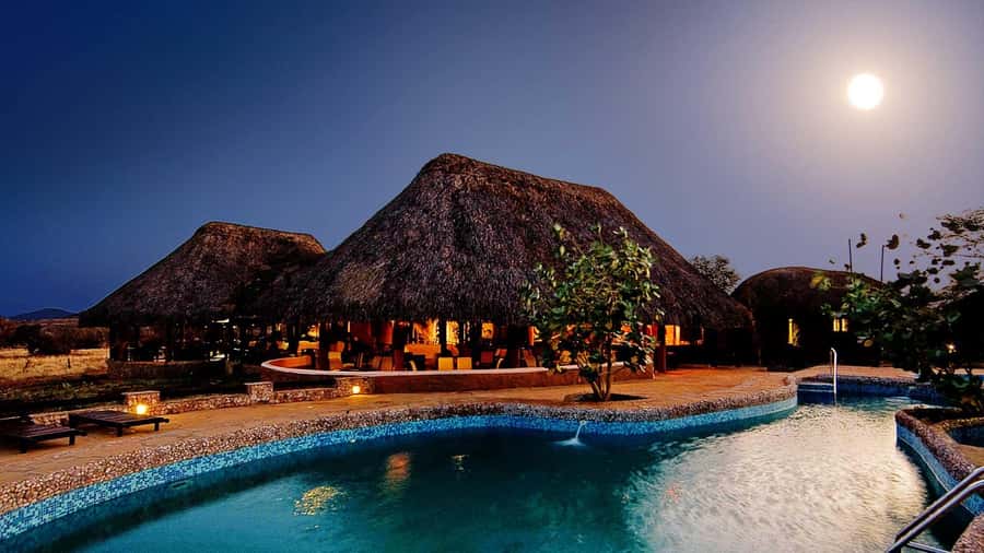 3-Day Maasai Mara Joining Safari at Enkorok Luxury Camp - The practical strengths and weak points