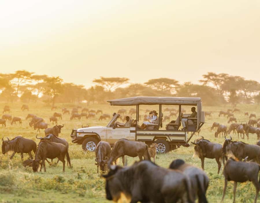3-Day Maasai Mara Joining Safari at Enkorok Luxury Camp - Enkorok Camp or Sopa Lodge after the drive