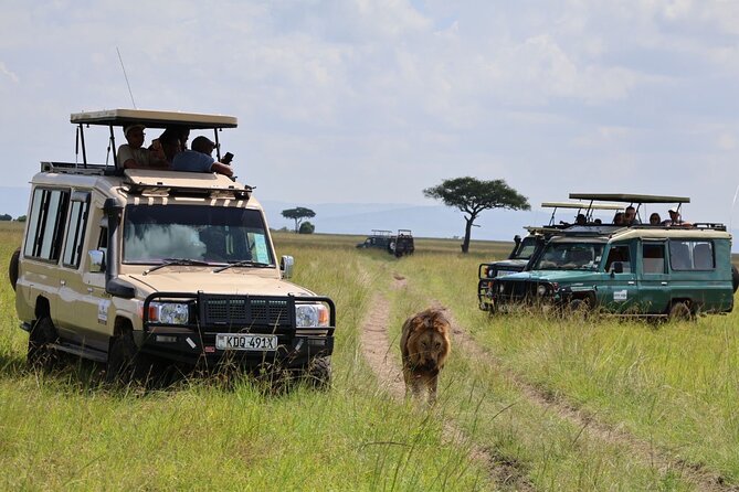 3 Day Private Tour in Maasai Mara with Lodge Luxury with Jeep - Day 2: the safari day that earns the price