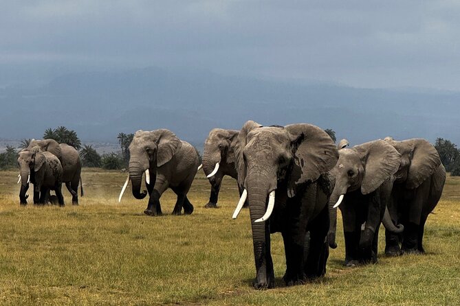 3 Day Private Tour in Maasai Mara with Lodge Luxury with Jeep - The Maasai village visit adds a cultural layer