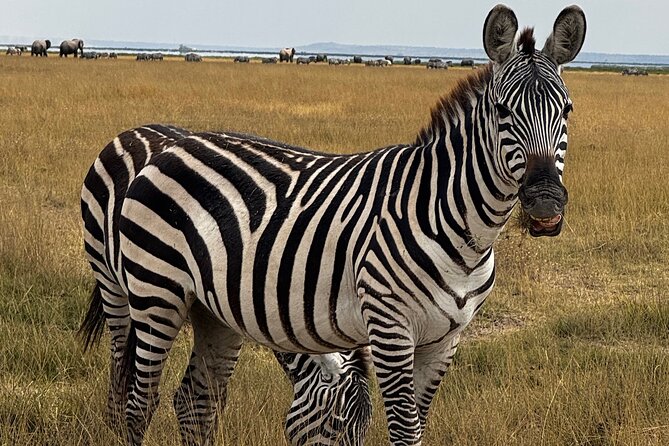 3 Day Private Tour in Maasai Mara with Lodge Luxury with Jeep - Practical details that make the trip easier