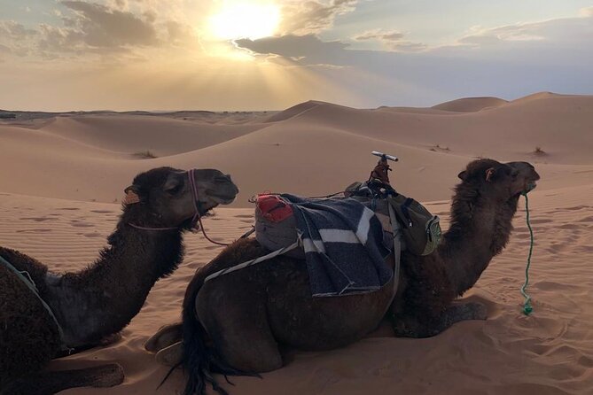 3-Days 2 Nights from Fes to Marrakech Private Luxury Desert trip - How the private vehicle changes the experience