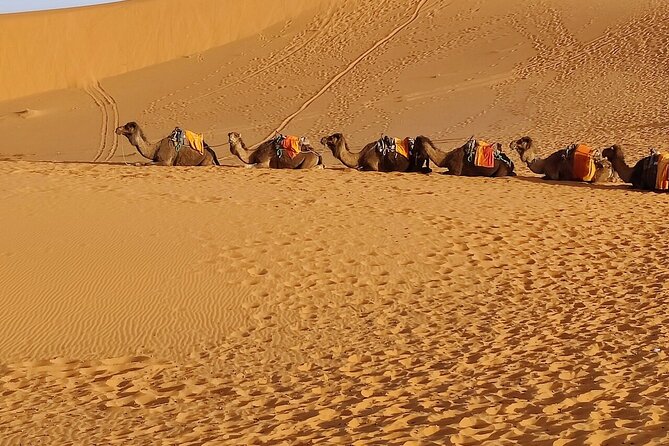3 Days Luxury Desert Tour From Fes To Marrakech via Merzouga - Sunrise, breakfast, and the road out of Merzouga