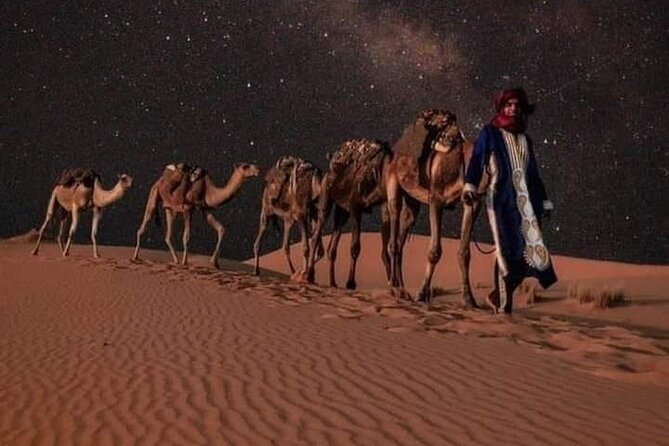 3 Days Luxury Desert Tour From Fes To Marrakech via Merzouga - Aït Ben Haddou and the High Atlas crossing