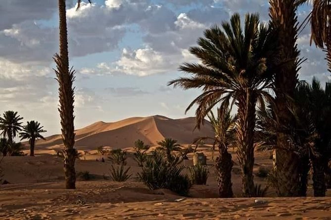 3 Days Luxury private Desert Tour From Fez to Marrakech - Price, Meals, and Overall Value