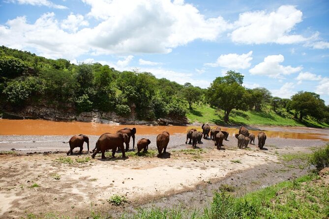 3 Days Luxury Safari - Key points to know before booking