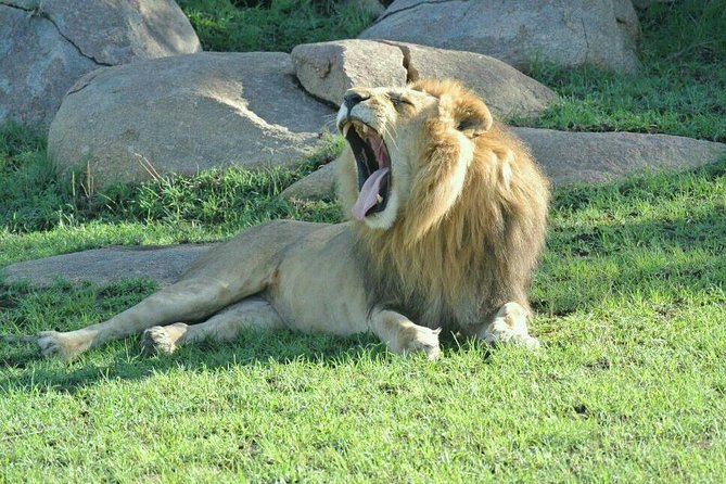 3 Days Luxury Safari - Day two: elephants and baobabs in Tarangire National Park