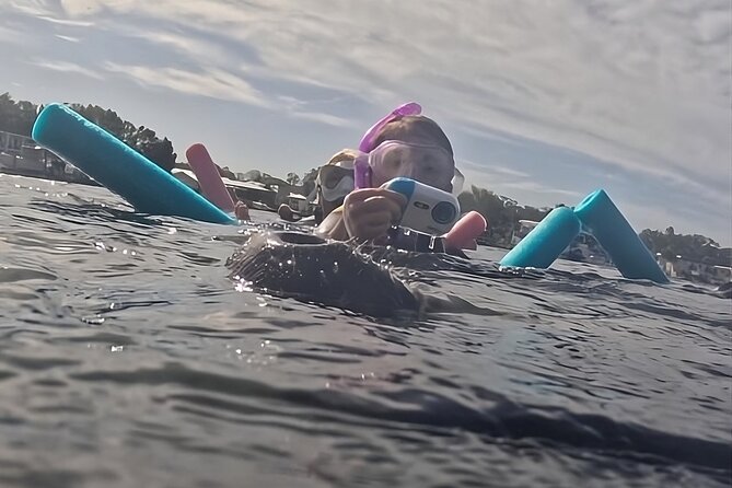 3 Hour Small Group Manatee Swim Heated Boats Free Photos All Inc - Meeting Captain Alan at Pete’s Pier Marina