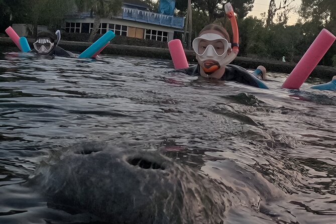 3 Hour Small Group Manatee Swim Heated Boats Free Photos All Inc - What $75 includes, and where the value sits