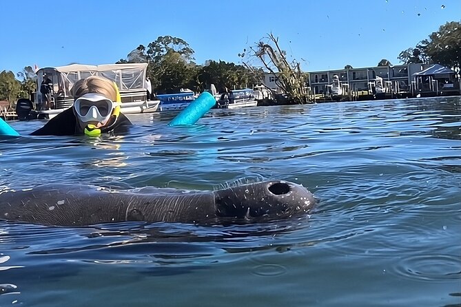 3 Hour Small Group Manatee Swim Heated Boats Free Photos All Inc - Who should book this Crystal River tour