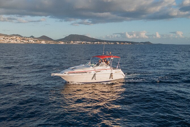 3 Hour VIP Private Luxury Boat Charter in Tenerife - Is $540.63 good value?